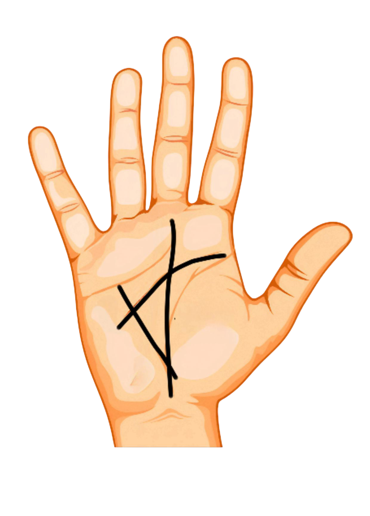 Palm Reading Consultation